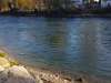 Bremgarten_Silvia-10