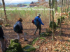 Hinkelsteine_008