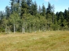 FITAS Wanderwoche Bregenzerwald 036