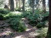 FITAS Wanderwoche Bregenzerwald 042