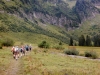 FITAS Wanderwoche Bregenzerwald 063