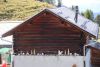 IMG_4227