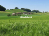 Mutzgraben-10