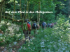 Mutzgraben-3
