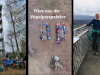 Rheinfelden-010