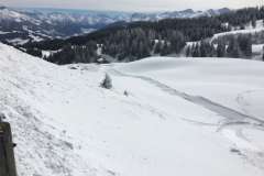 Schneeschuhe-Tour_Grüsch-Danusa__Mittwoch,_8._März_2017