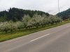 20180503_112158