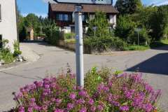 Wetzikon - Rosinli 27.08.2020